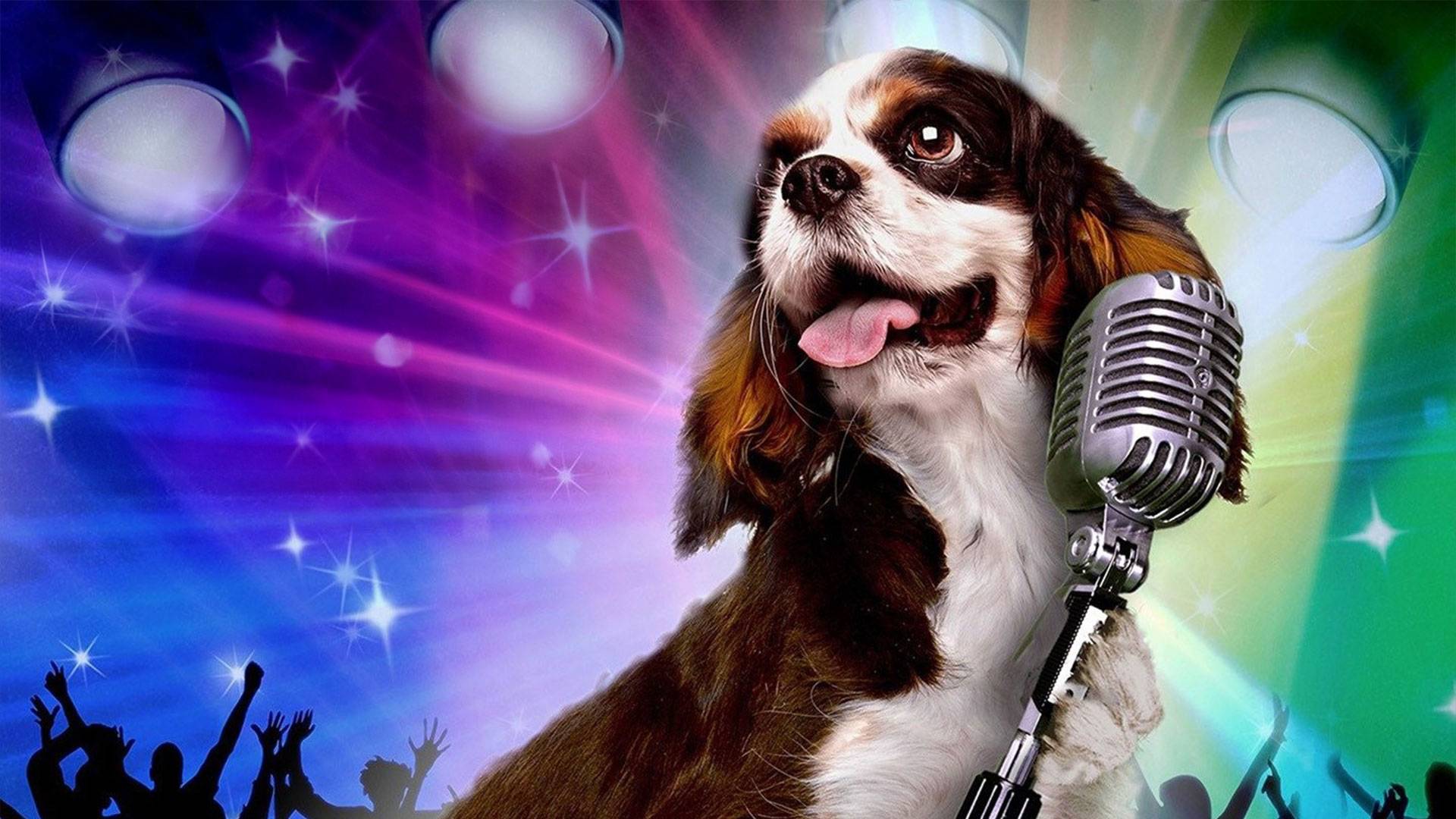 Şarkıcı Köpek