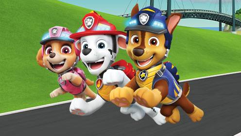 Paw Patrol S07 B07