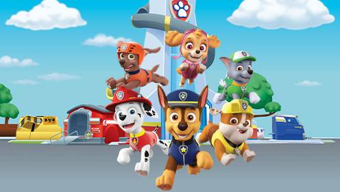 Paw Patrol S06 B05